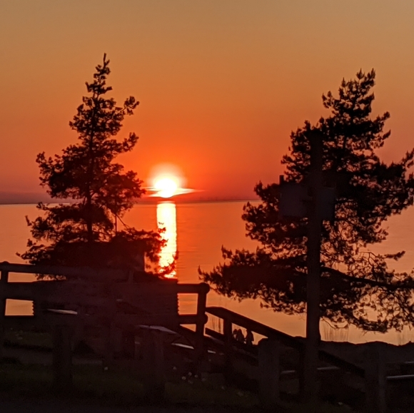 Quality items, low price! - Picture 2 of 4